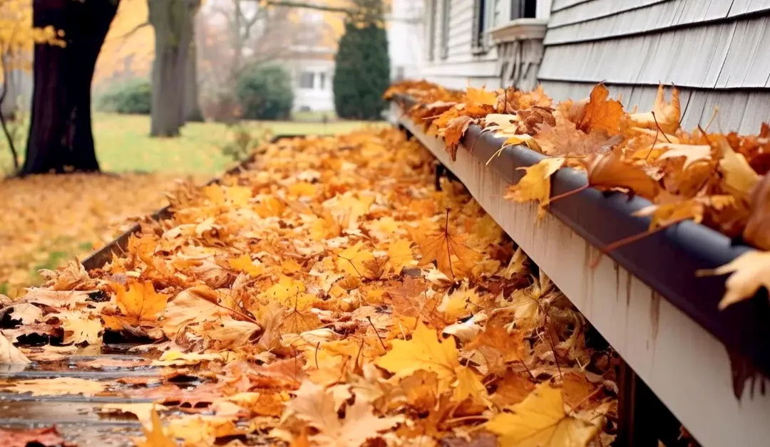 Preparing Your Home for Fall